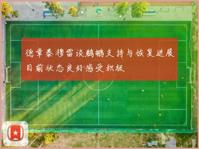 德章泰穆雷谈鹈鹕支持与恢复进展目前状态良好感受积极