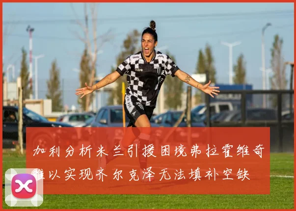 加利分析米兰引援困境弗拉霍维奇难以实现齐尔克泽无法填补空缺