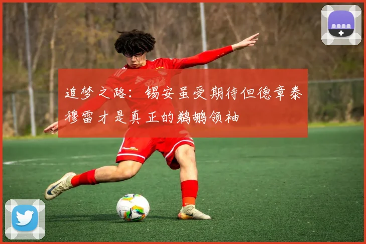 追梦之路：锡安虽受期待但德章泰穆雷才是真正的鹈鹕领袖